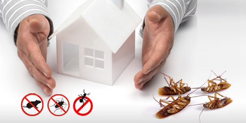 All Track Exterminators business image in Pasadena, California